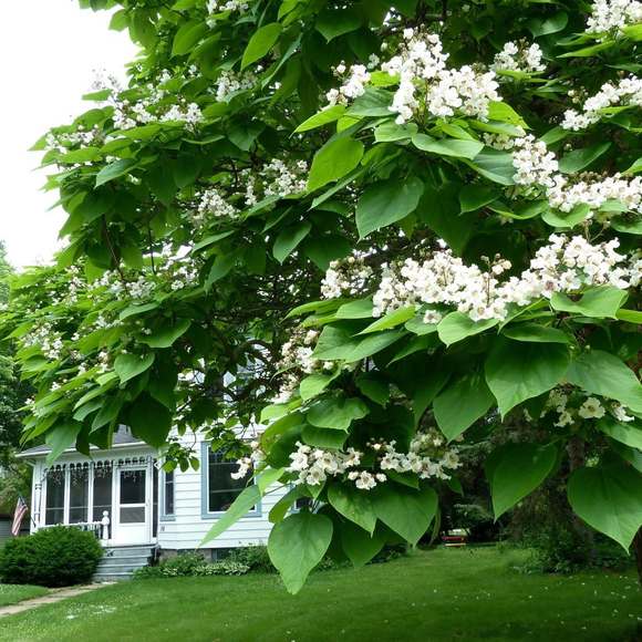 Meet your Posher, Rita - Picture 1 of 1